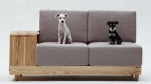 mascotas-pueden-dormir-sofa_MDSIMA20121110_0003_9